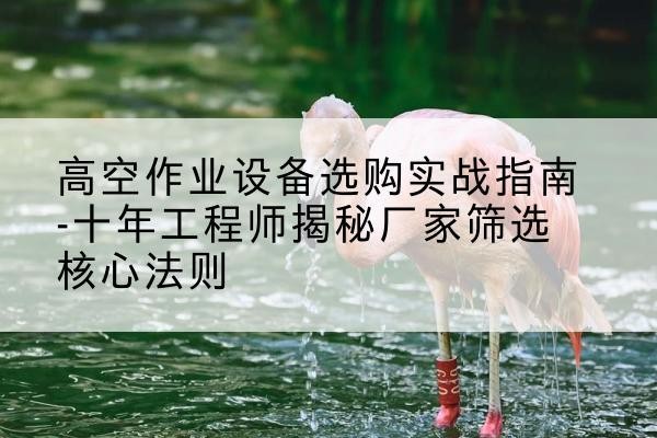 耒阳剪叉式升降机厂家-高空作业设备选购实战指南-十年工程师揭秘厂家筛选核心法则