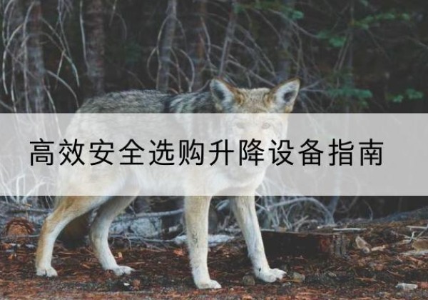 耒阳升降货梯厂家推荐-*安全选购升降设备指南