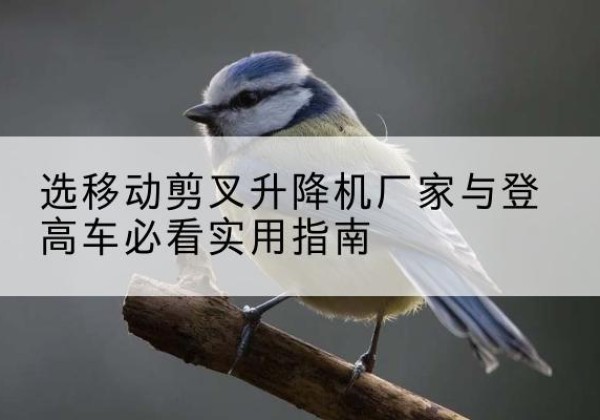 耒阳电动升降机厂家-选移动剪叉升降机厂家与登高车必看实用指南