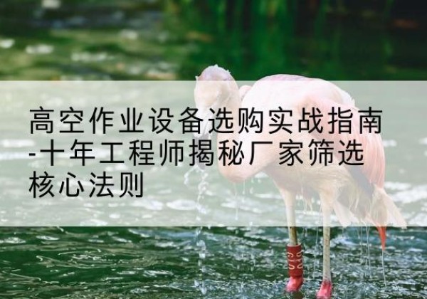 耒阳剪叉式升降机厂家-高空作业设备选购实战指南-十年工程师揭秘厂家筛选核心法则
