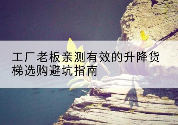 耒阳升降货梯怎么选-工厂老板亲测有效的升降货梯选购避坑指南